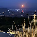 فيلة In Paros Nest *